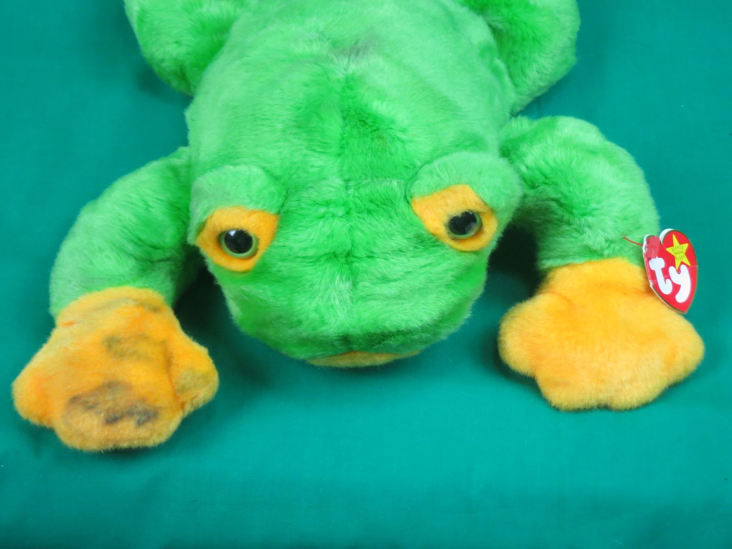 chubby buddy plush frog